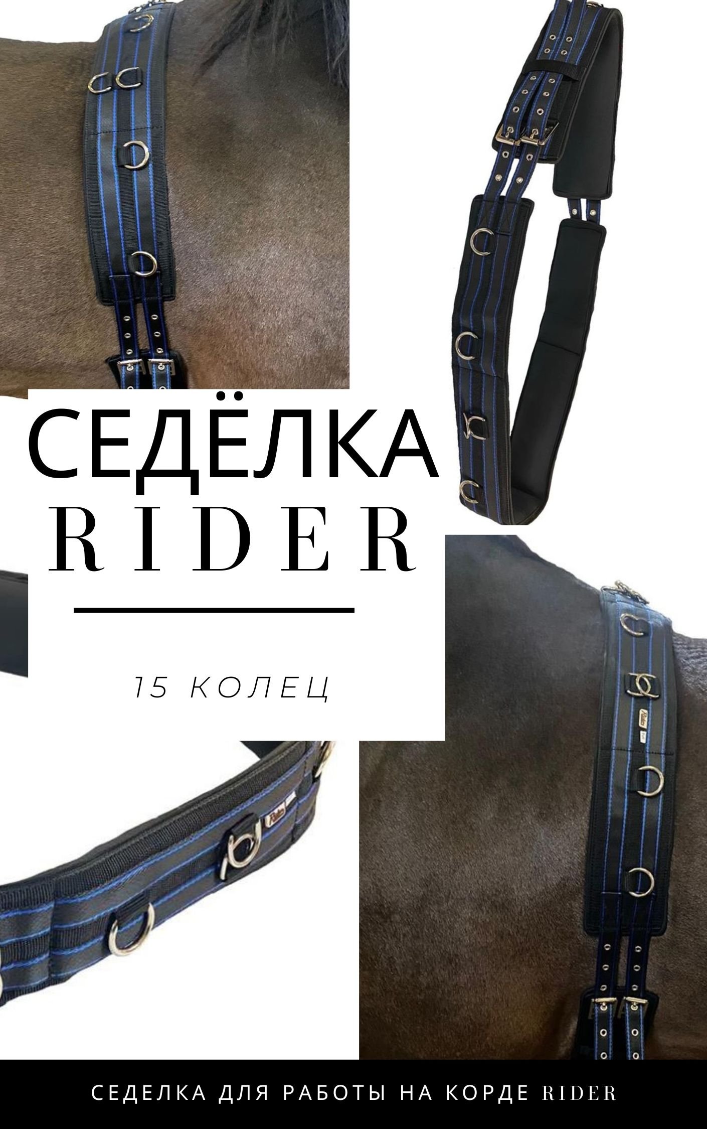 sediolka_rider.jpg